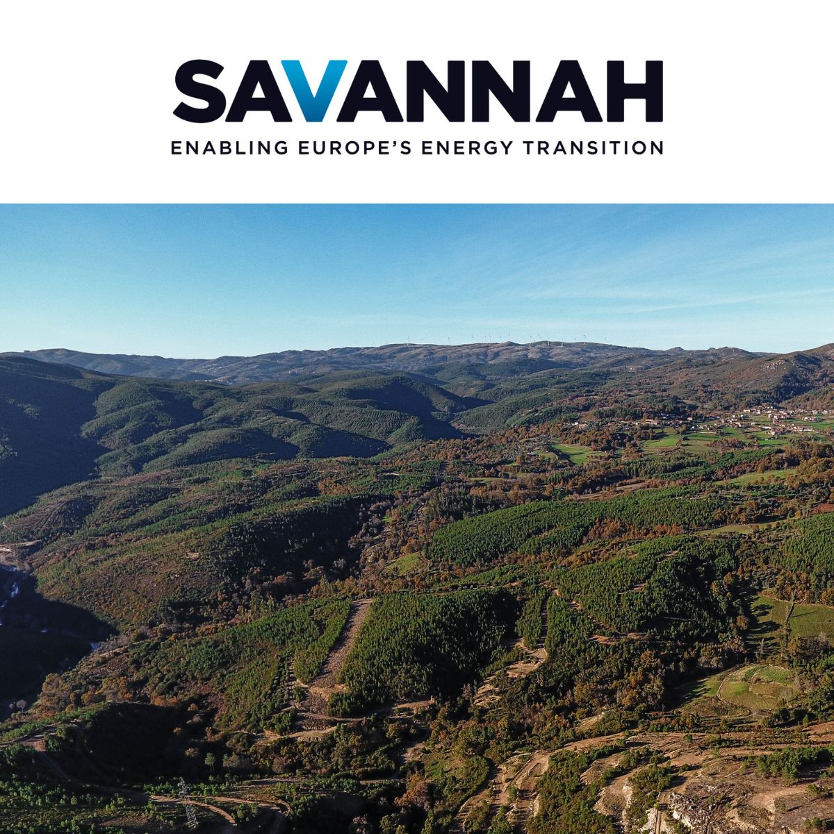 Savannah Logo